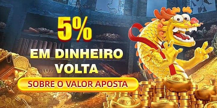 abelha Mina Misteriosa